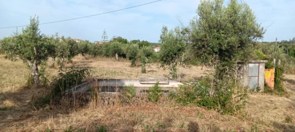 Terreno para Venda em Mação, Penhascoso e Aboboreira