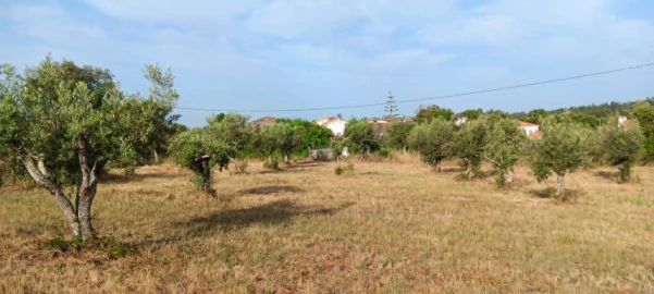 Terreno para Venda em Mação, Penhascoso e Aboboreira