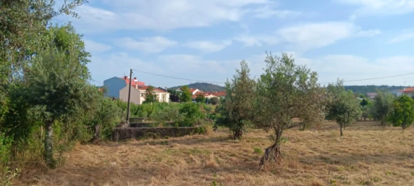 Terreno para Venda em Mação, Penhascoso e Aboboreira