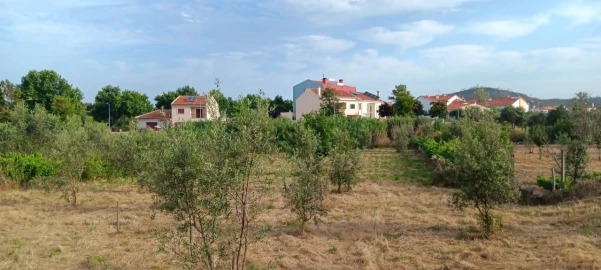 Terreno para Venda em Mação, Penhascoso e Aboboreira