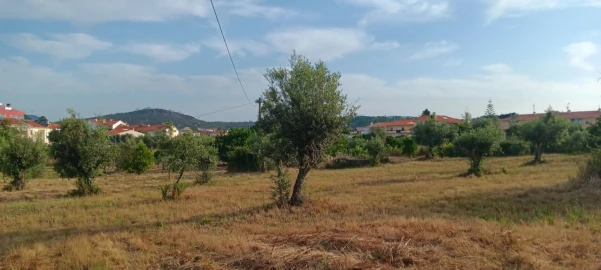 Terreno para Venda em Mação, Penhascoso e Aboboreira