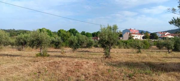 Terreno para Venda em Mação, Penhascoso e Aboboreira