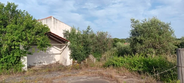 Terreno para Venda em Mação, Penhascoso e Aboboreira