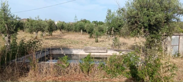 Terreno para Venda em Mação, Penhascoso e Aboboreira