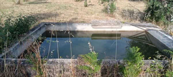 Terreno para Venda em Mação, Penhascoso e Aboboreira