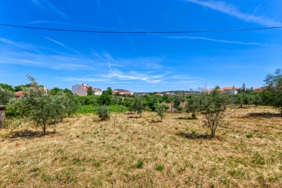 Terreno para Venda em Mação, Penhascoso e Aboboreira