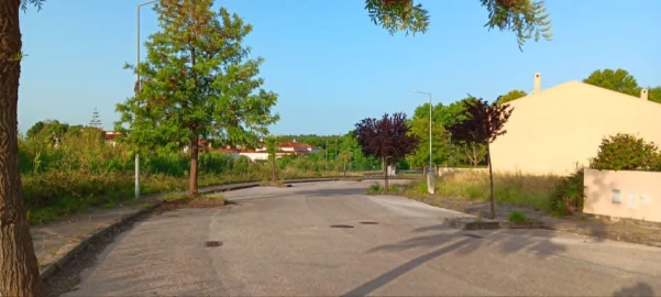 Terreno para Venda em Mação, Penhascoso e Aboboreira