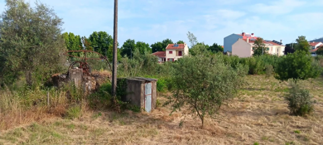 Terreno para Venda em Mação, Penhascoso e Aboboreira Foto 3