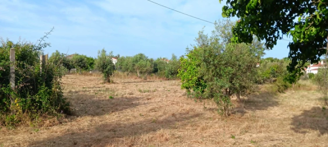 Terreno para Venda em Mação, Penhascoso e Aboboreira Foto 9