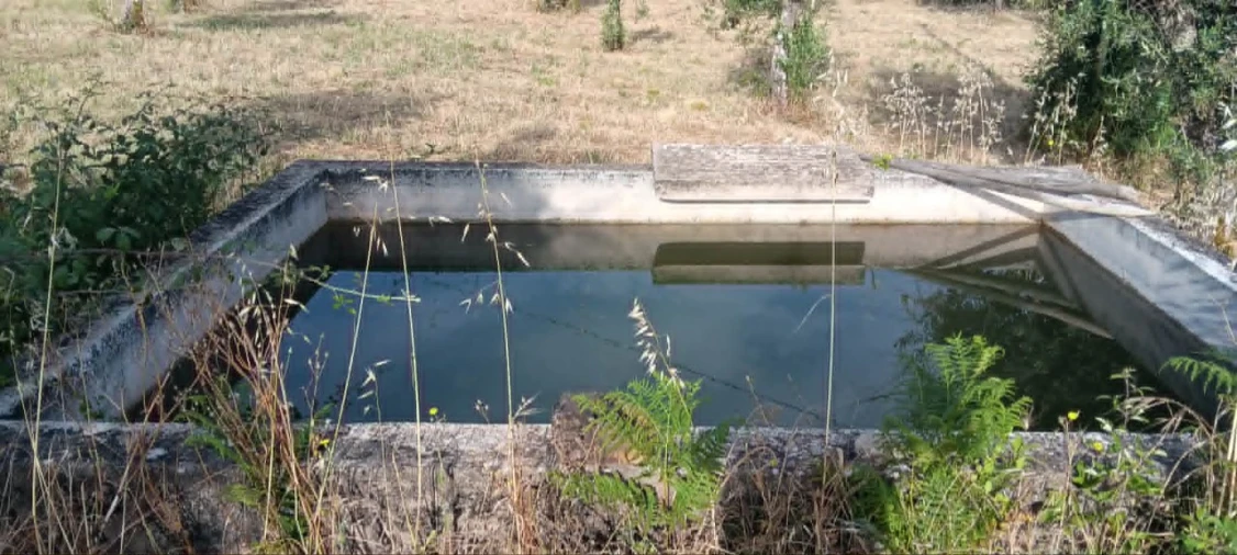 Terreno para Venda em Mação, Penhascoso e Aboboreira Foto 18