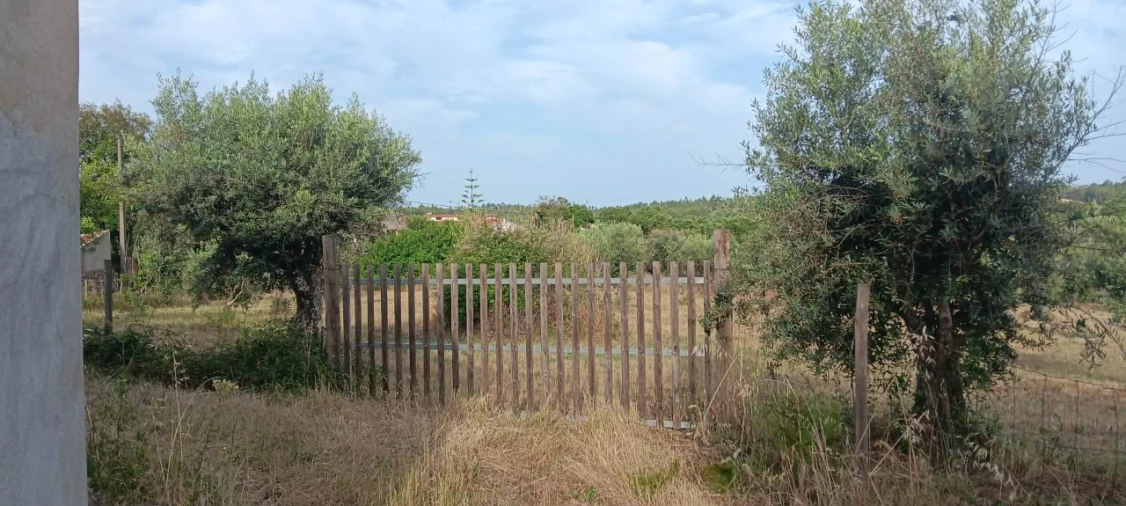 Terreno para Venda em Mação, Penhascoso e Aboboreira Foto 19