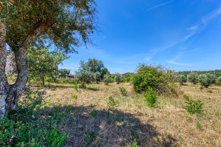 Terreno para Venda em Mação, Penhascoso e Aboboreira Foto 14