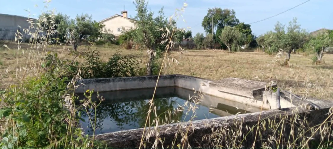 Terreno para Venda em Mação, Penhascoso e Aboboreira Foto 23
