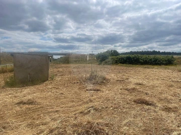 Armazém para Venda em Azinhaga