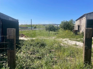 Armazém para Venda em Azinhaga