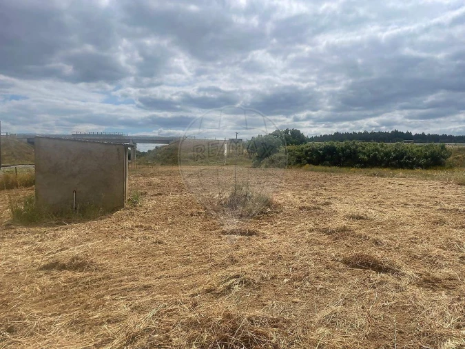Armazém para Venda em Azinhaga Foto 10