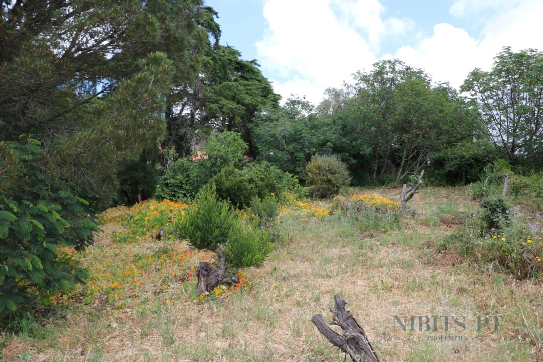 Terreno para Venda em Alcabideche Foto 7