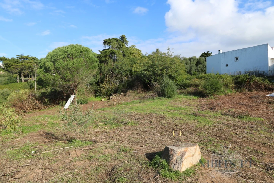Terreno para Venda em Alcabideche Foto 8
