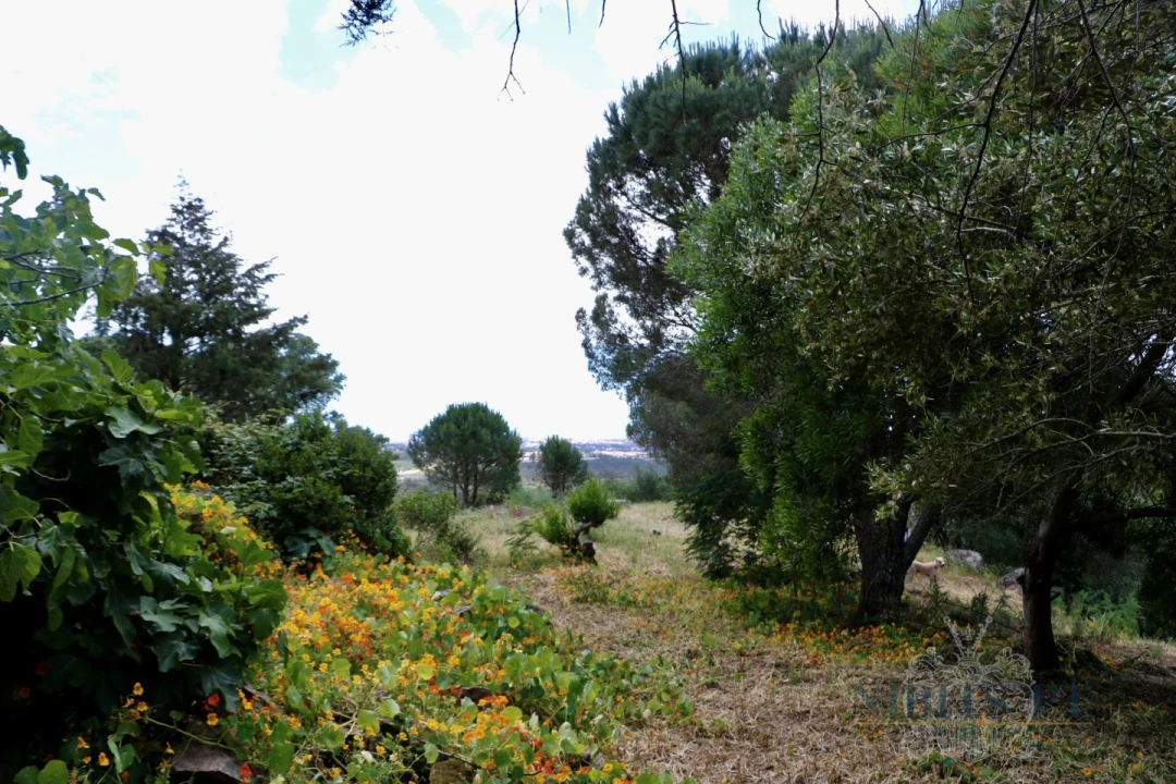 Terreno para Venda em Alcabideche Foto 12