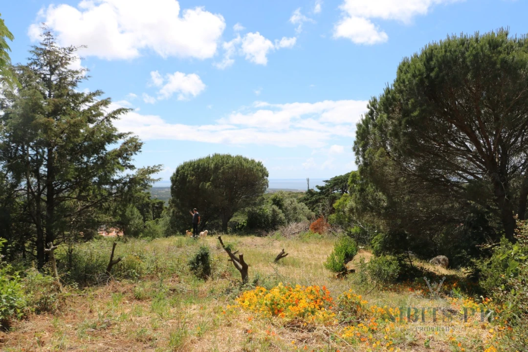 Terreno para Venda em Alcabideche Foto 13