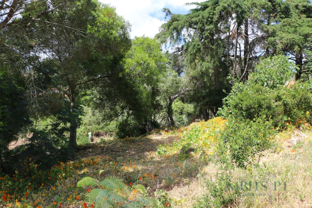 Terreno para Venda em Alcabideche Foto 15