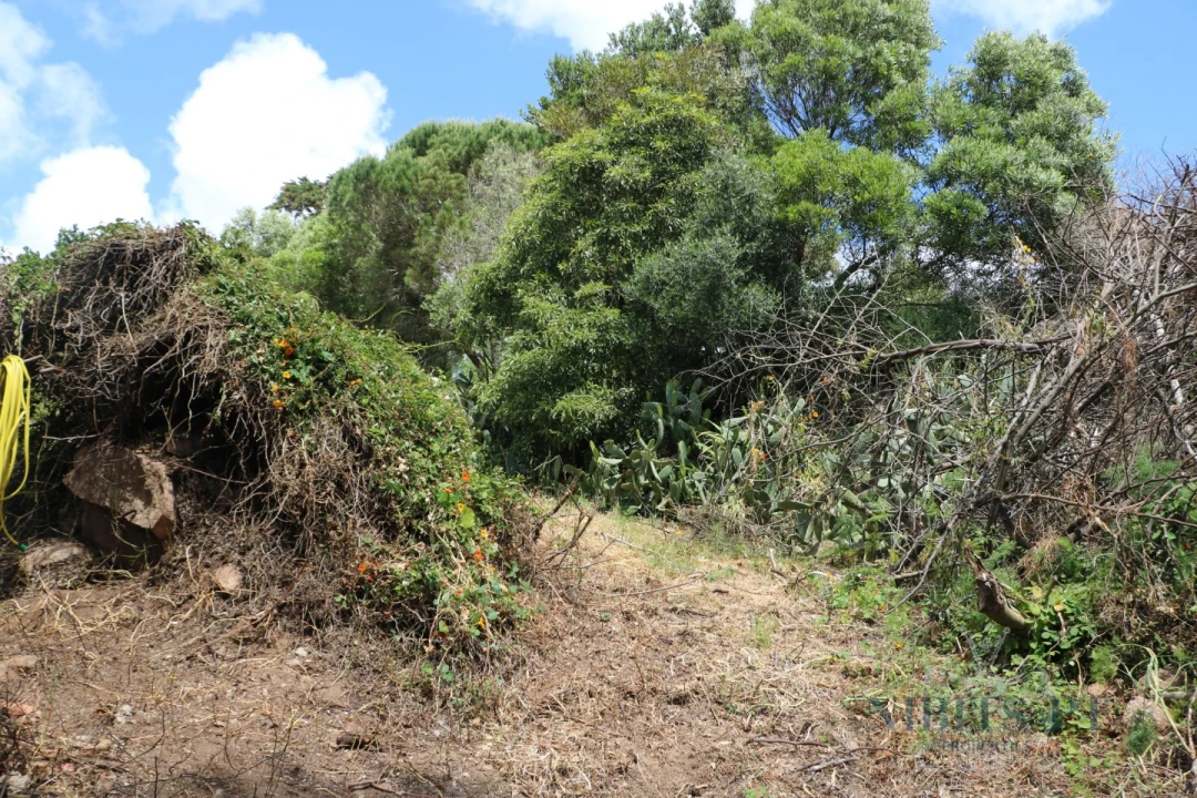 Terreno para Venda em Alcabideche Foto 20