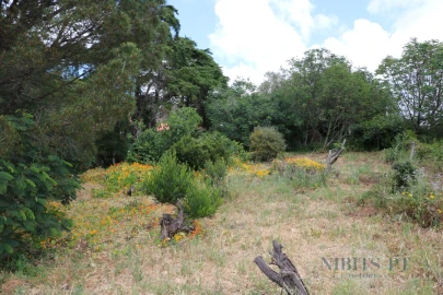 Terreno para Venda em Alcabideche