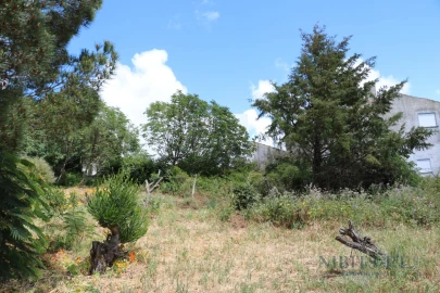 Terreno para Venda em Alcabideche