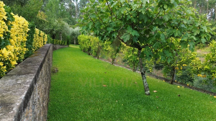 Moradia T4 para Venda em Fornelos e Queijada Foto 10