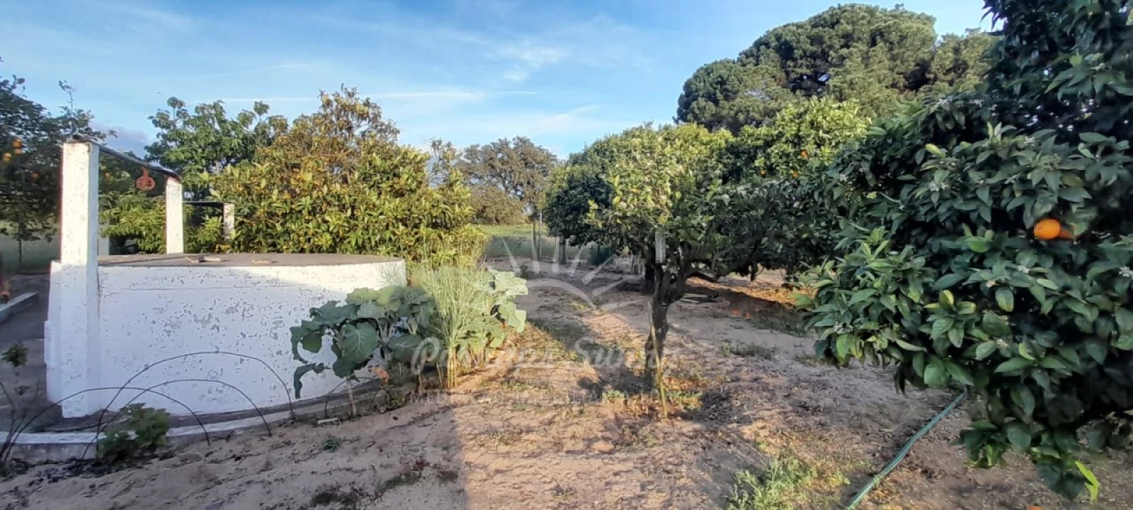 Quinta T3 para Venda em Grândola e Santa Margarida da Serra Foto 13