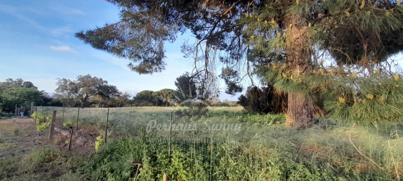 Quinta T3 para Venda em Grândola e Santa Margarida da Serra Foto 15