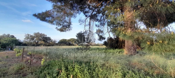Quinta T3 para Venda em Grândola e Santa Margarida da Serra