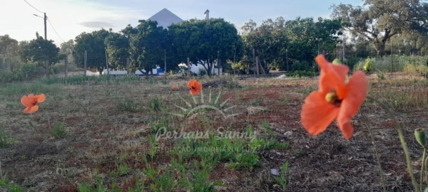 Quinta T3 para Venda em Grândola e Santa Margarida da Serra