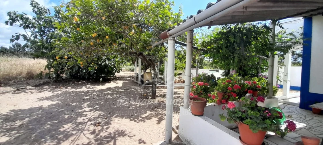 Quinta T3 para Venda em Grândola e Santa Margarida da Serra Foto 11