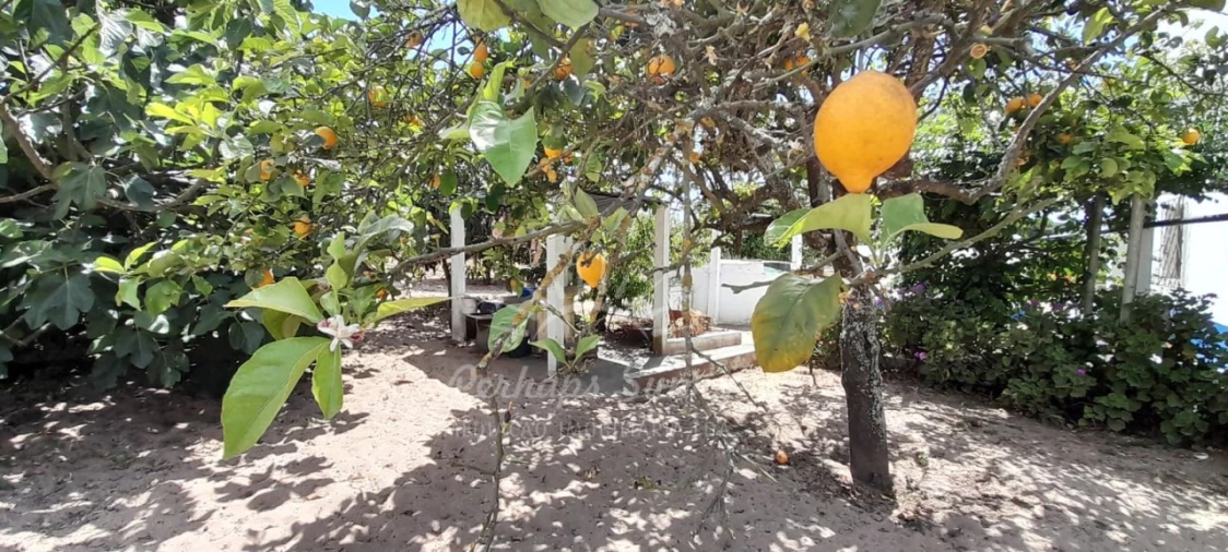 Quinta T3 para Venda em Grândola e Santa Margarida da Serra Foto 12
