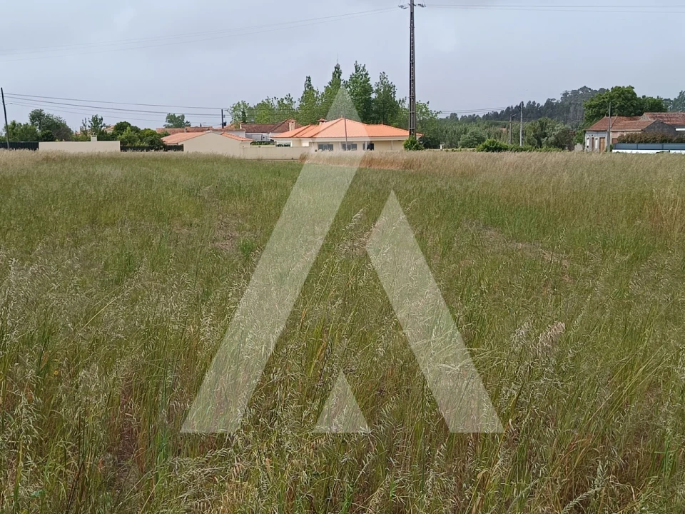Terreno para Venda em Ílhavo (São Salvador) Foto 1
