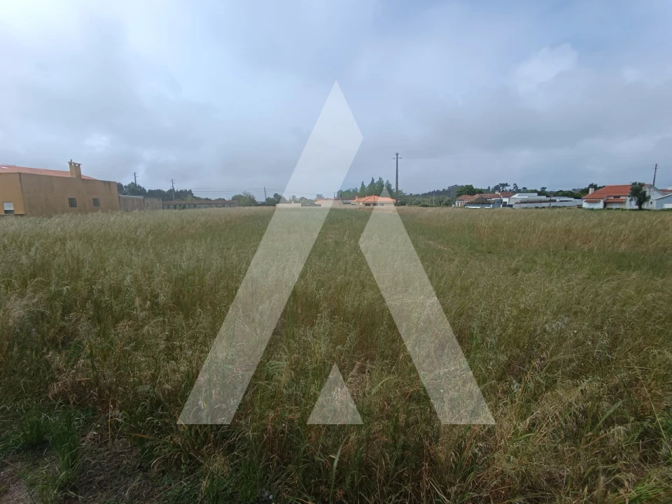 Terreno para Venda em Ílhavo (São Salvador) Foto 2