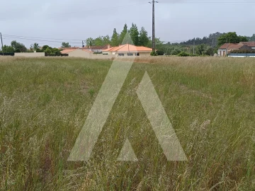 Terreno para Venda em Ílhavo (São Salvador)