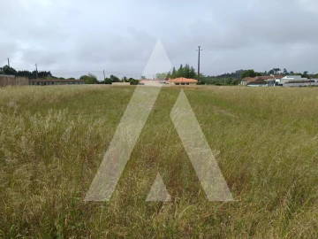 Terreno para Venda em Ílhavo (São Salvador)