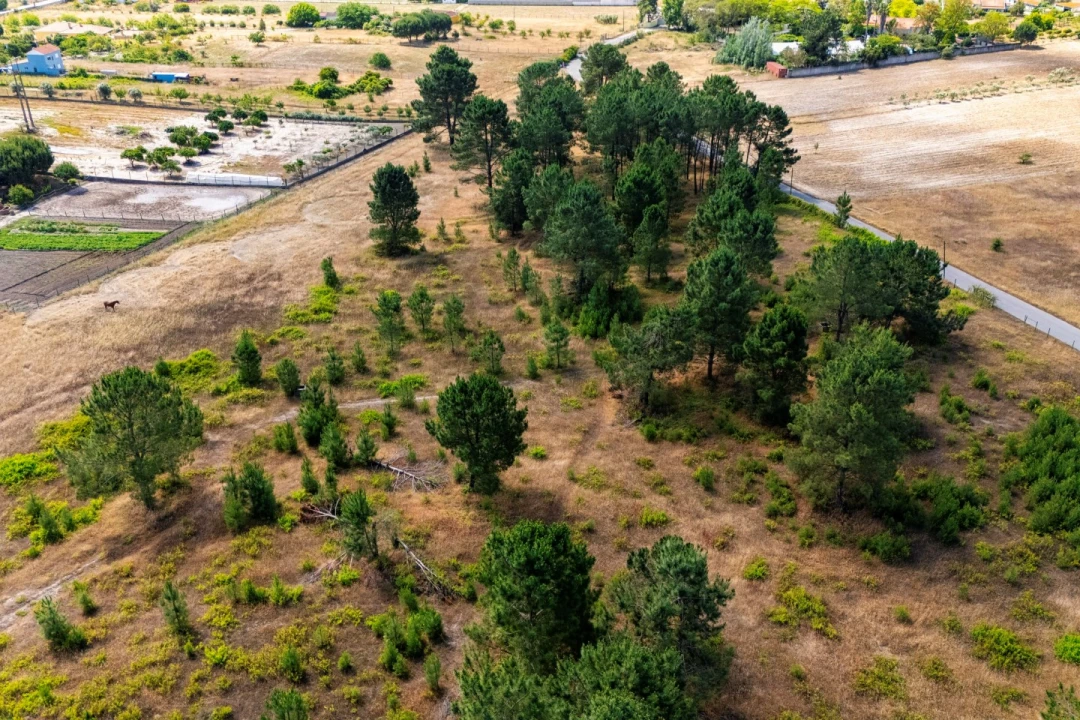 Terreno para Venda em Poceirão e Marateca Foto 2