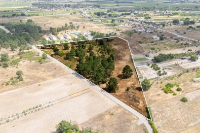 Terreno para Venda em Poceirão e Marateca