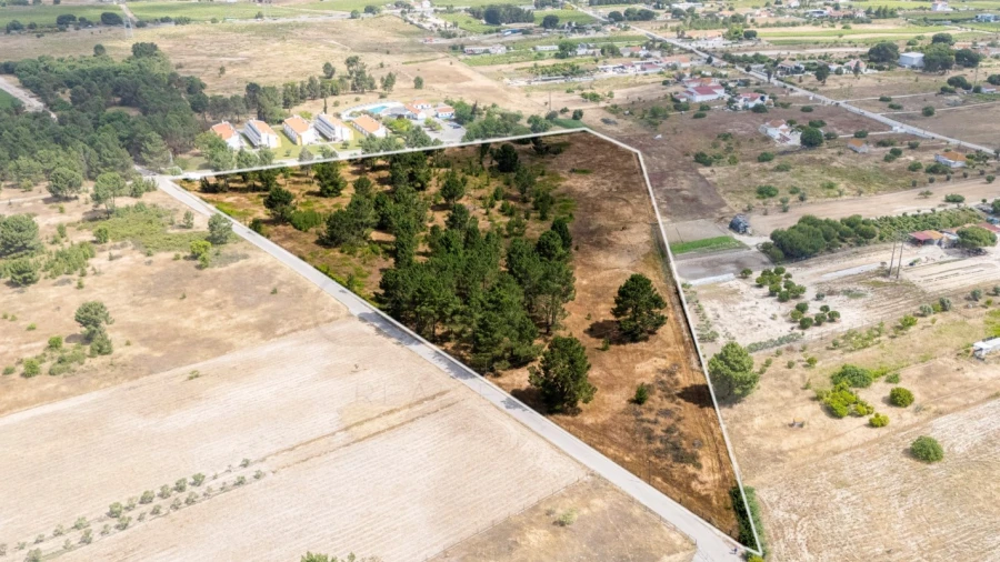 Terreno para Venda em Poceirão e Marateca