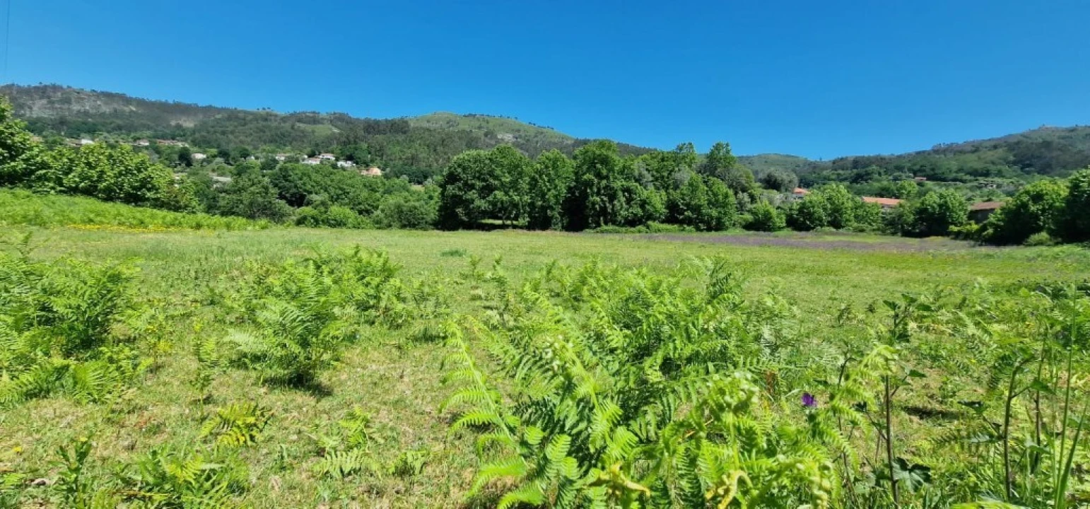 Terreno para Venda em Cantelães Foto 21