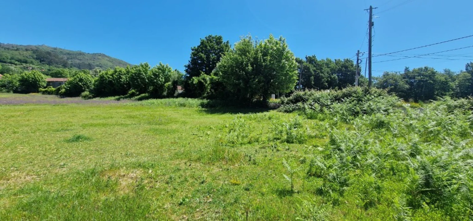 Terreno para Venda em Cantelães Foto 18