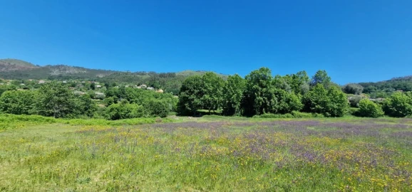 Terreno para Venda em Cantelães