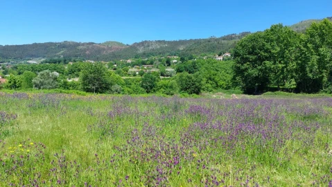 Terreno para Venda em Cantelães