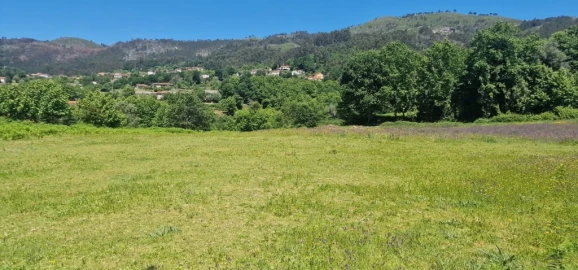 Terreno para Venda em Cantelães