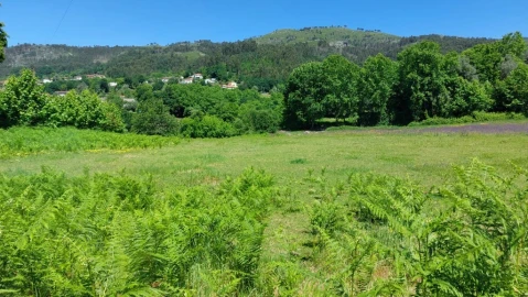 Terreno para Venda em Cantelães