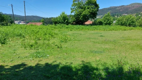 Terreno para Venda em Cantelães