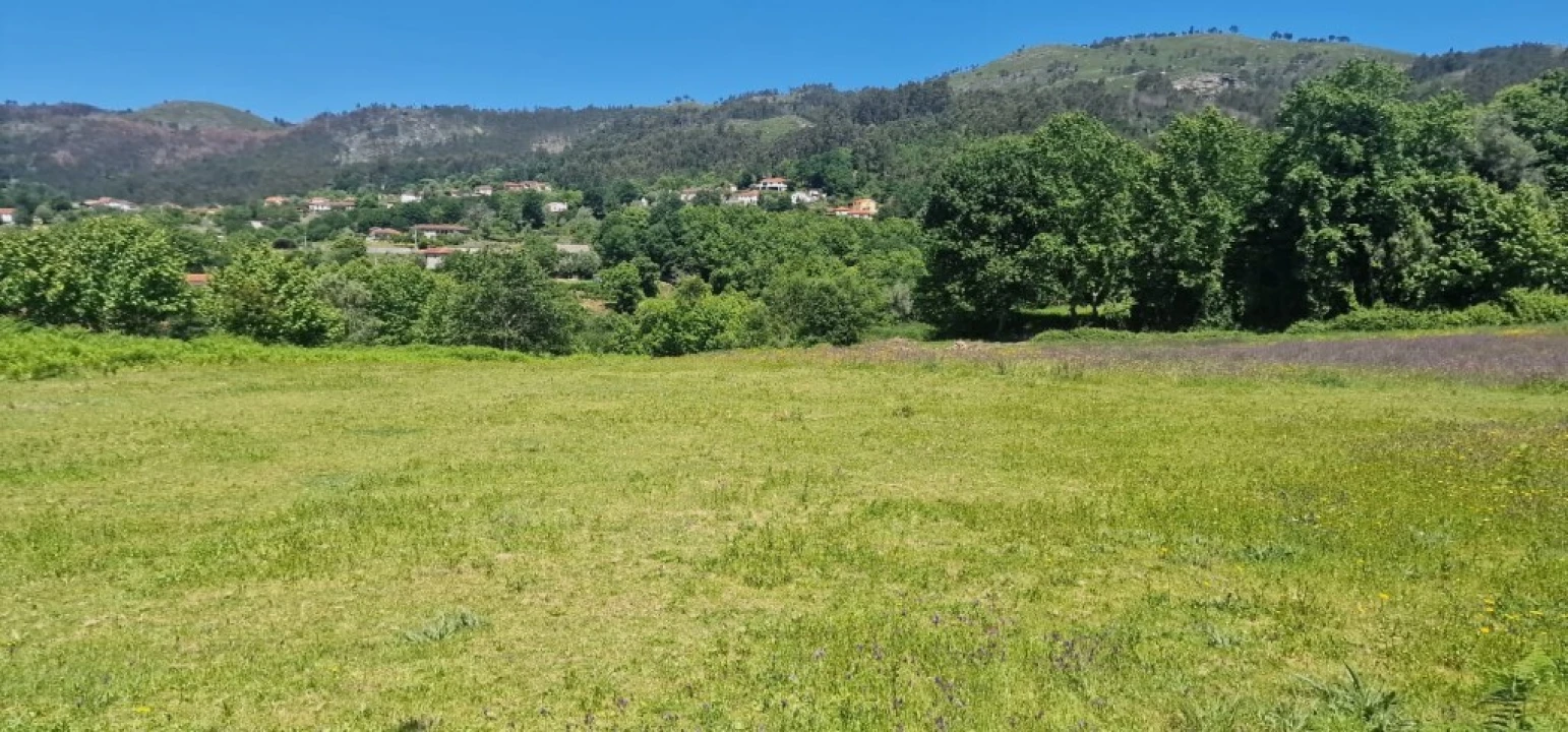 Terreno para Venda em Cantelães Foto 10